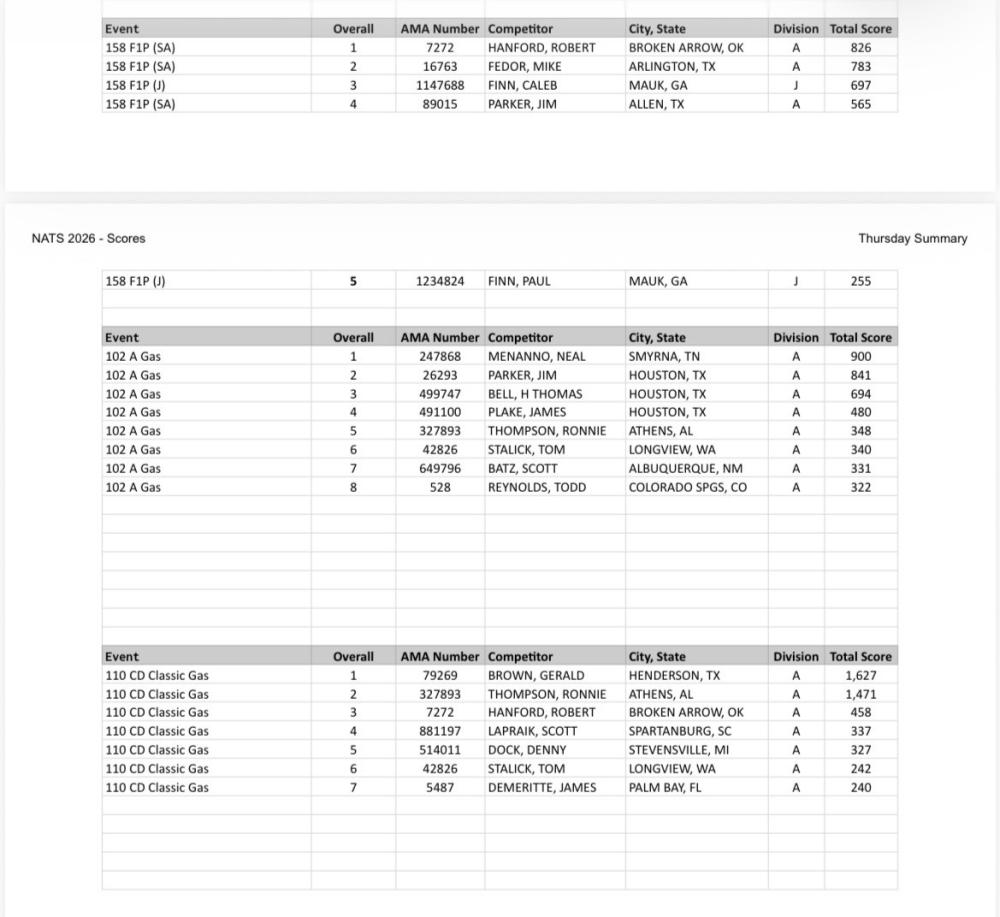 Spreadsheet of company audit data with names, scores, and statistics.
