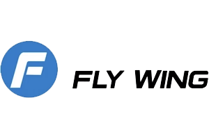 Fly Wing