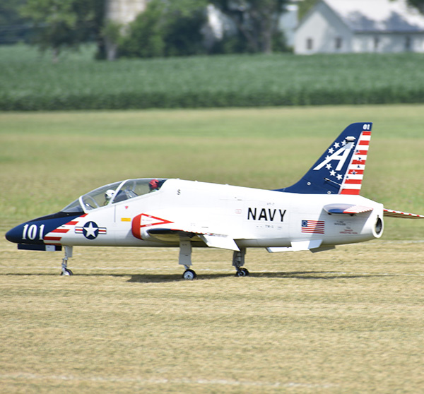 Navy jet on grassy airfield with star-spangled tail.