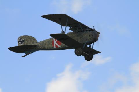The Albatros D.III OEF built by Tamas Seres from Dave Johnson plans. It is 1/3 scale, powered by a DLE 85 engine, and covered with Coverite.
