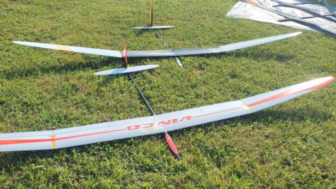 Gliders on grass, long wings with orange and red accents.