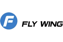 Fly Wing